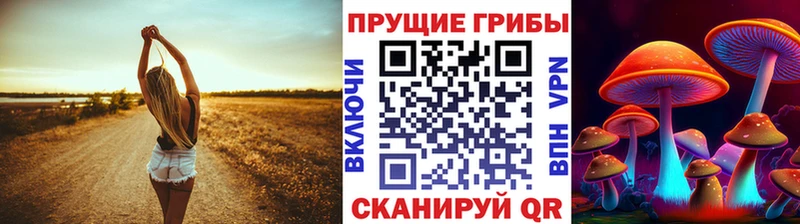 Галлюциногенные грибы GOLDEN TEACHER  Купить закладки  Афипский 